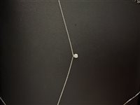 Collana Polello Donna in Oro bianco Diamante E2863CB